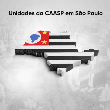 Bandeira do Estado de São Paulo simbolizando as regionais da caasp